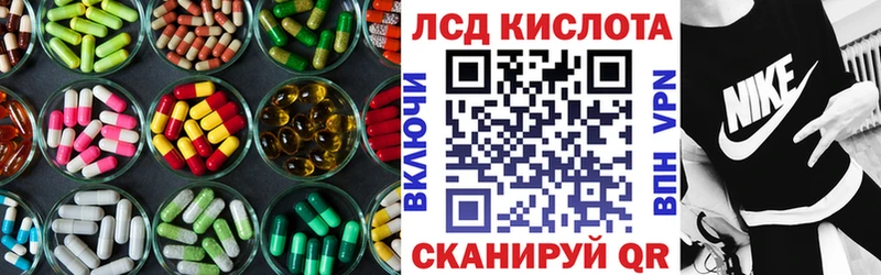 kraken   что такое   Алагир  ЛСД экстази кислота 