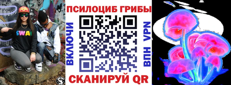 Псилоцибиновые грибы Cubensis Алагир
